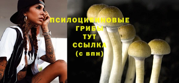 гидра Алзамай