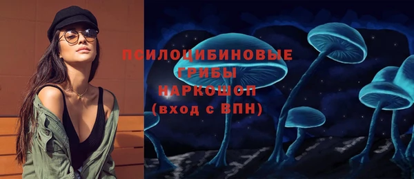 гидра Алзамай